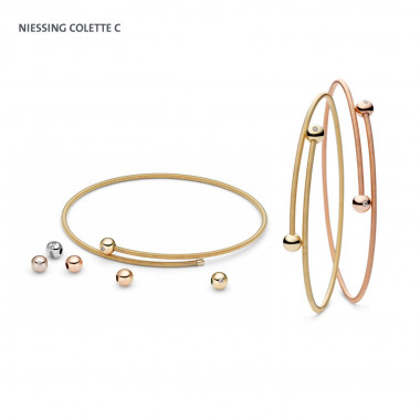 Niessing Colette C